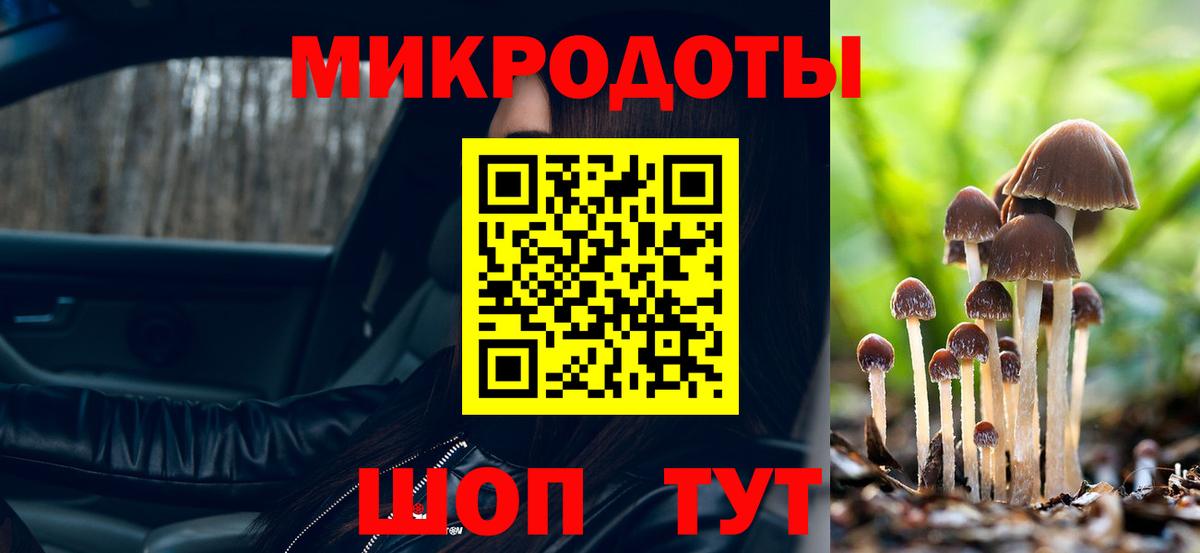 Майский  Псилоцибиновые грибы Psilocybe  Вход с VPN  Галлюциногенные грибы Psilocybe 